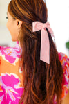 Soft Pink Velvet Barrette Clip Bow