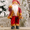 Santa  Claus Gnome