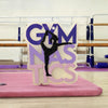 Gymnastics Freshie